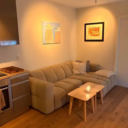 Central Apartment * ベルゲン